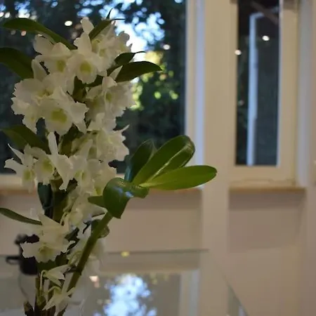 Apartment Ipponatte 29 Roma