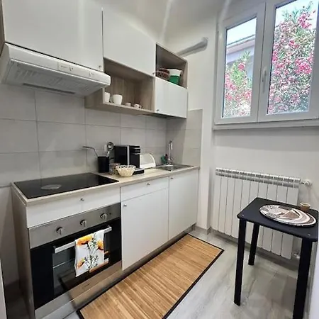 Ipponatte 29 Roma Apartment Casal Palocco